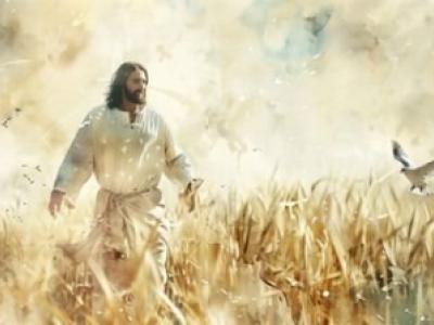 What the Bible Says About Healing