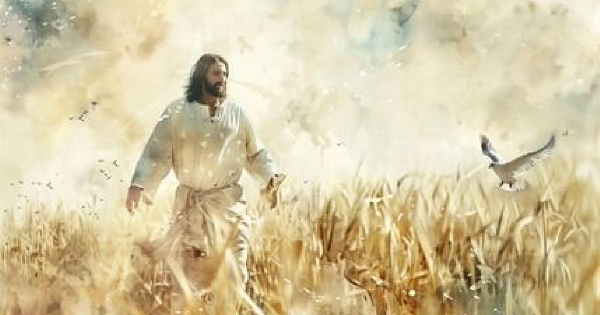 Bible Verses About Forgiveness: Insights and Applications