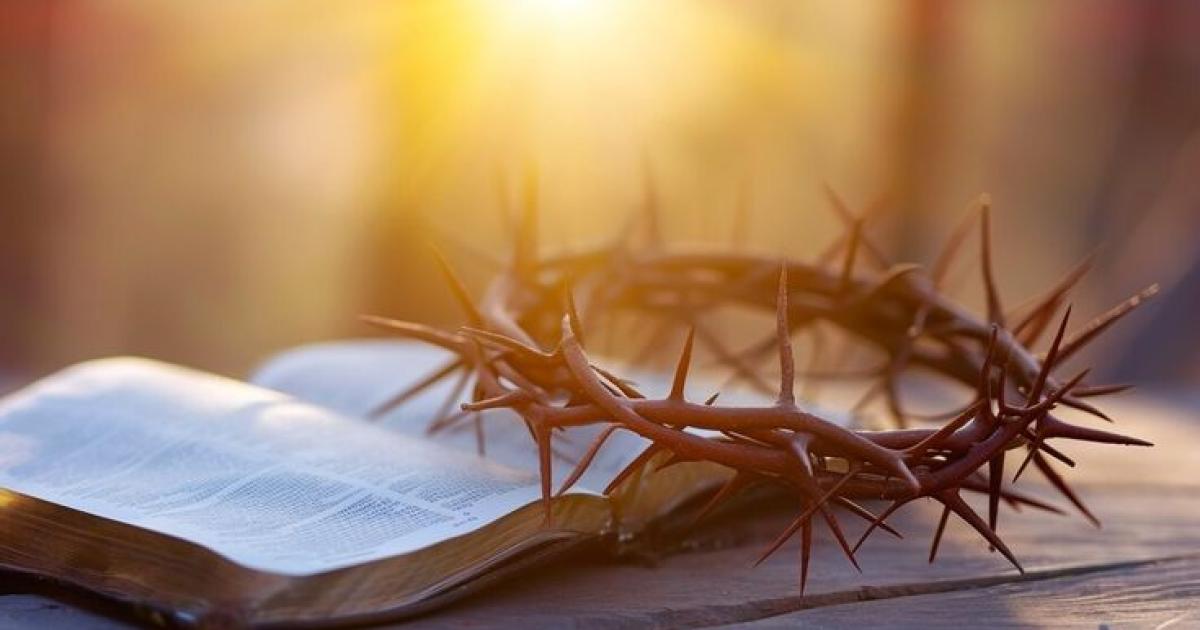 Bible Verses About Family: Wisdom for Everyday Life