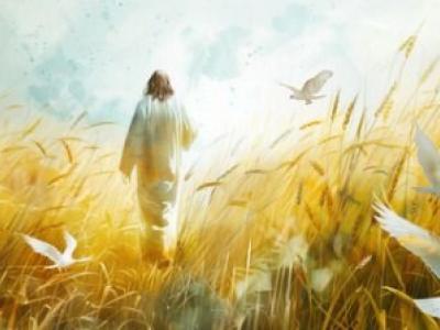 Bible Verses About Anger: Wisdom for Today