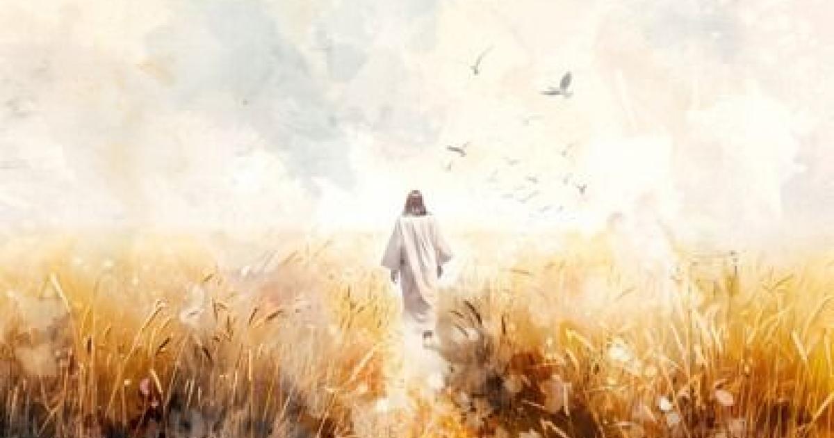 Bible Verses About Protection: Finding Comfort and Strength