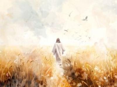 Bible Verses About Protection: Finding Comfort and Strength